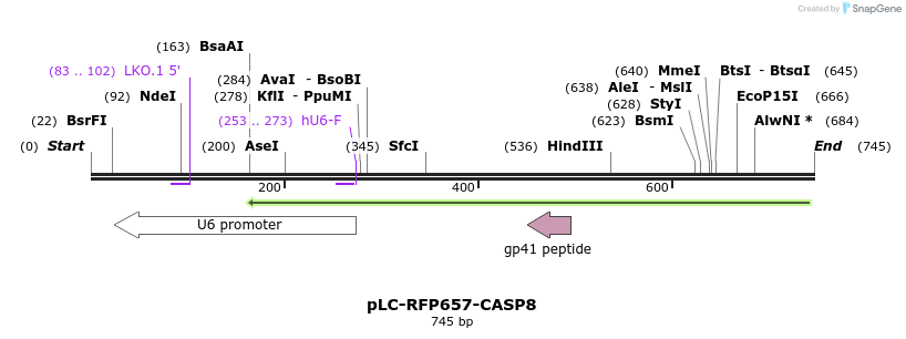 147063_map