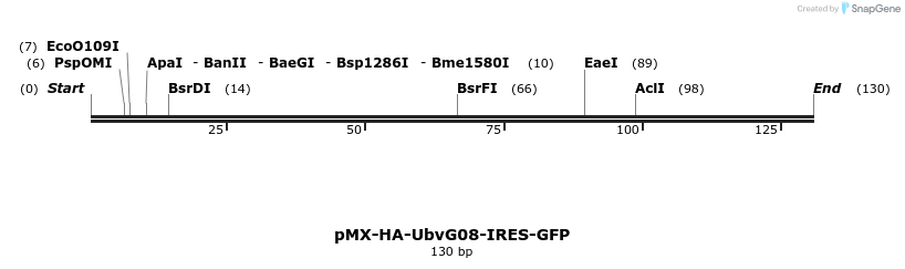 147067_map