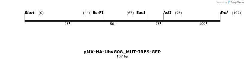147068_map
