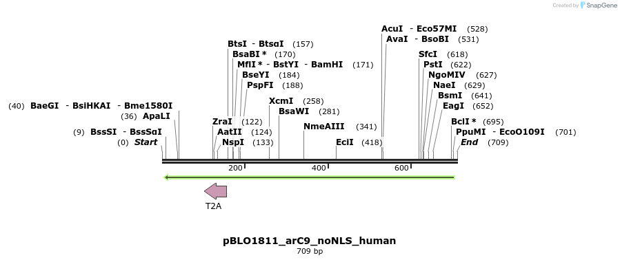 147073_map
