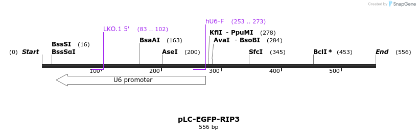 147075_map