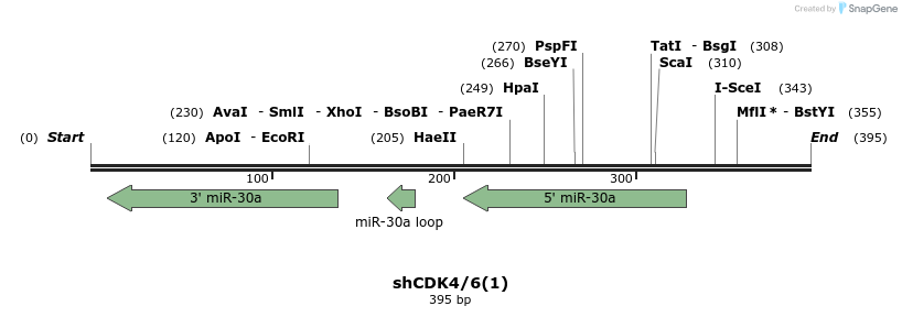147076_map