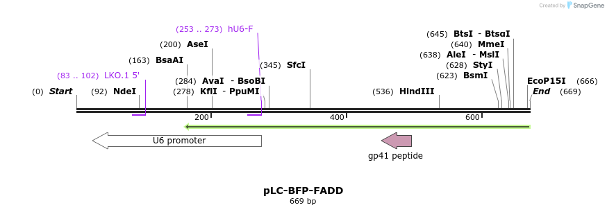147079_map