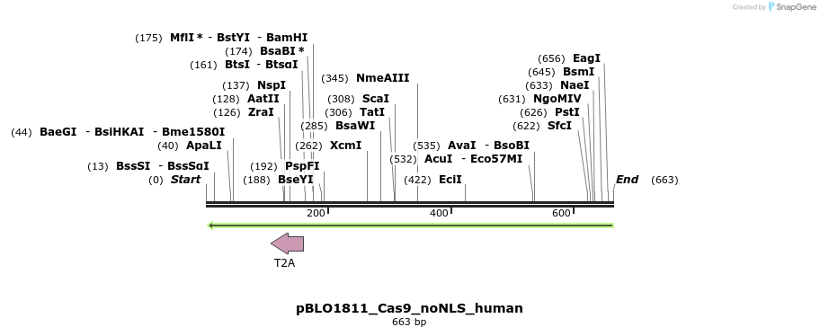 147080_map