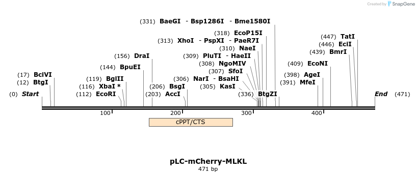 147081_map