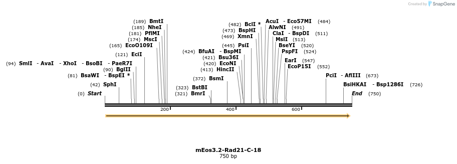 147084_map