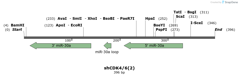 147085_map