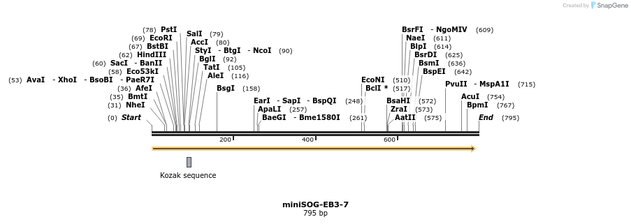147086_map