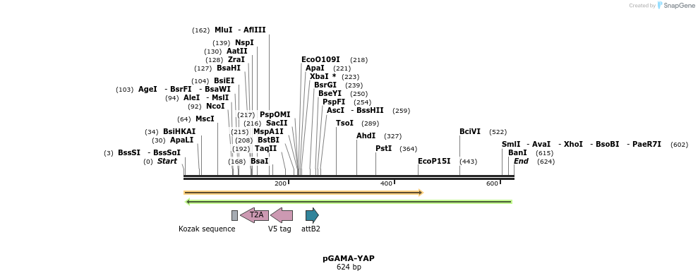 147092_map