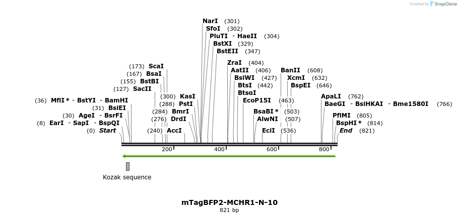 147093_map