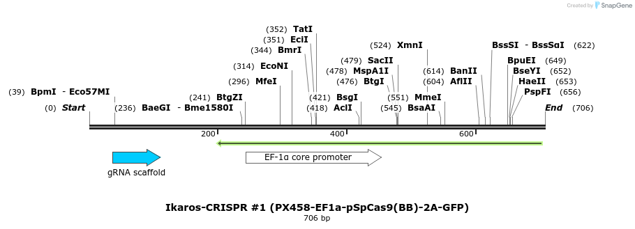 147094_map