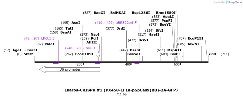 147095_map