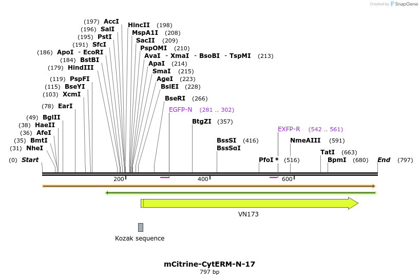 147100_map