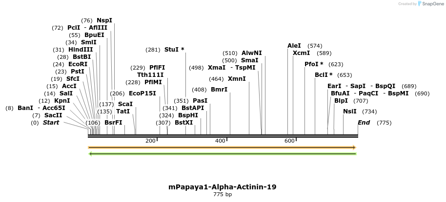 147103_map