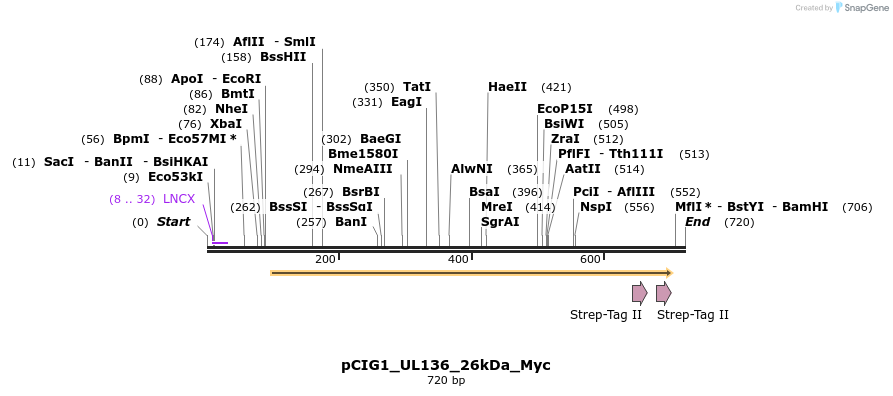 147104_map