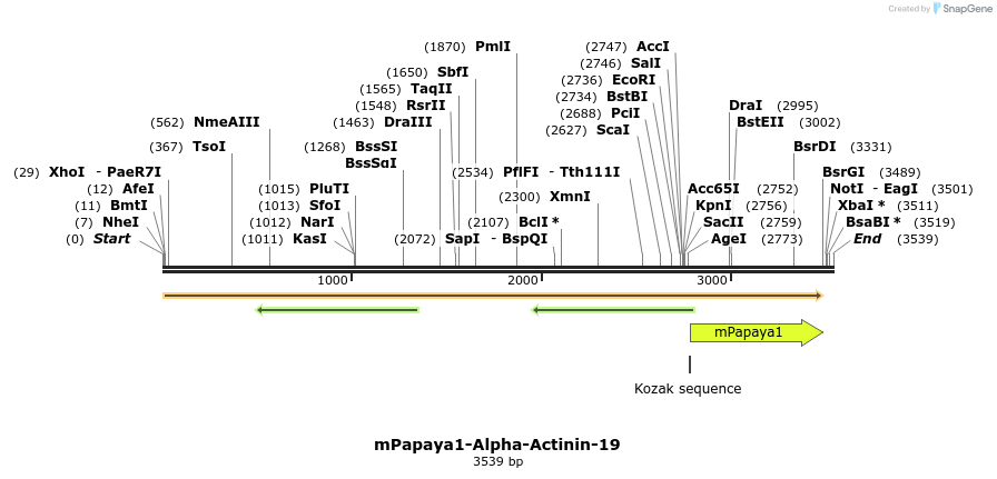 147105_map
