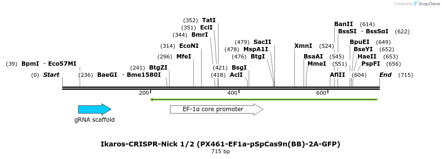 147106_map