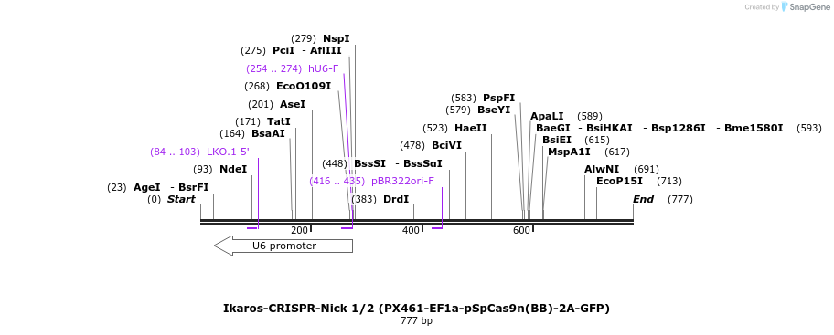 147107_map