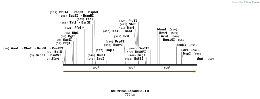 147108_map