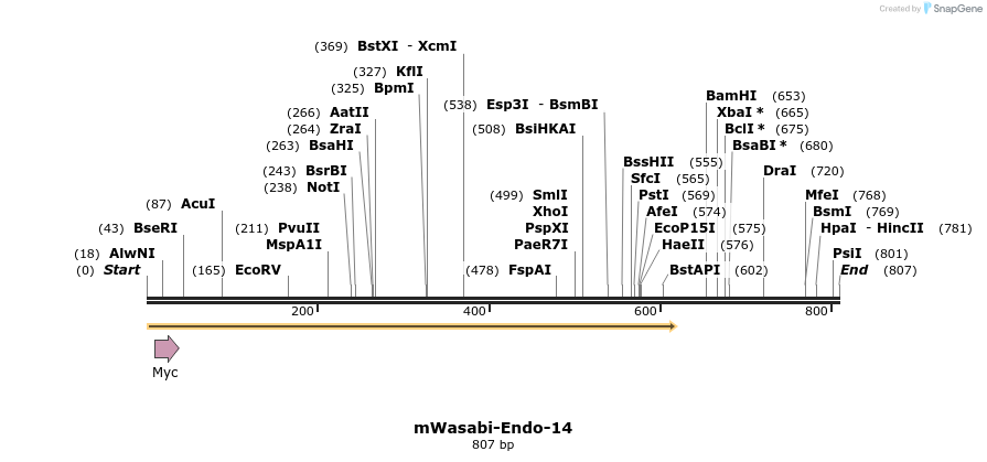 147109_map