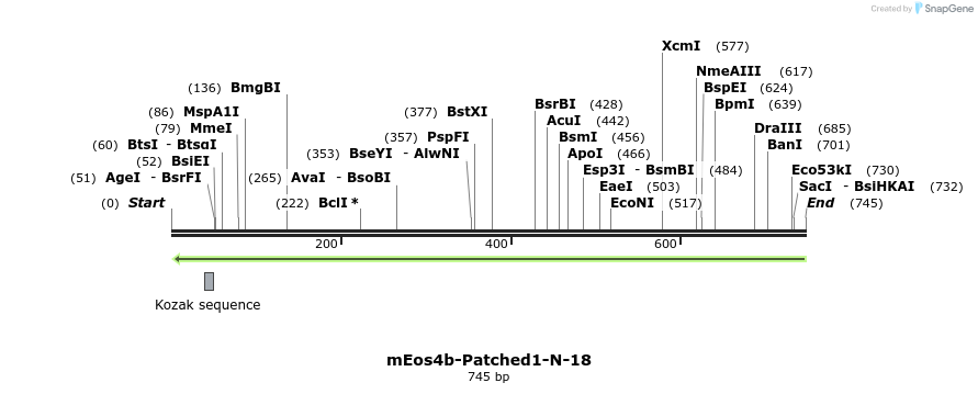 147113_map