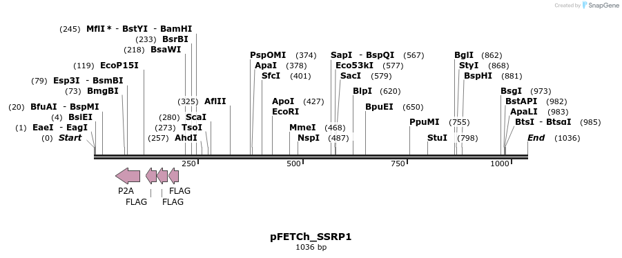 147116_map
