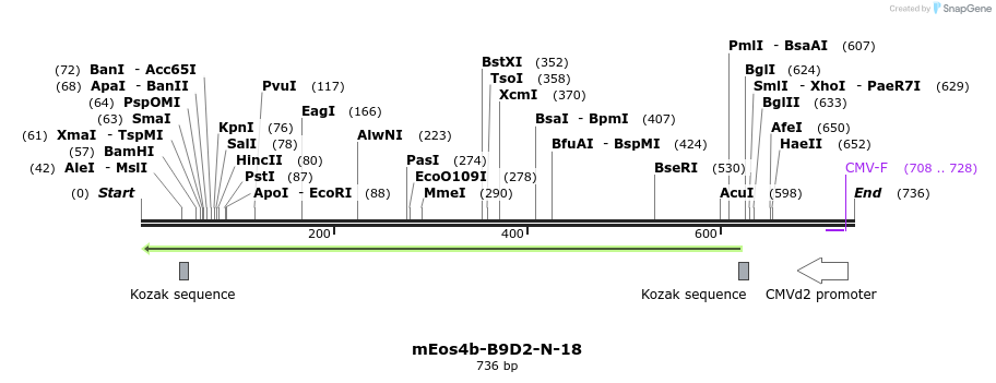 147117_map