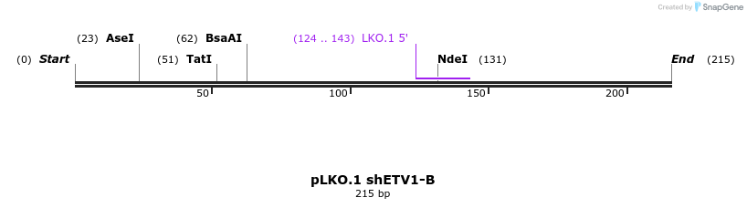 147119_map