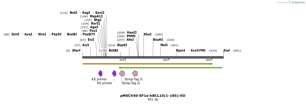 147122_map