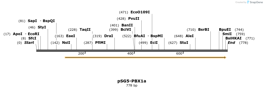 147124_map