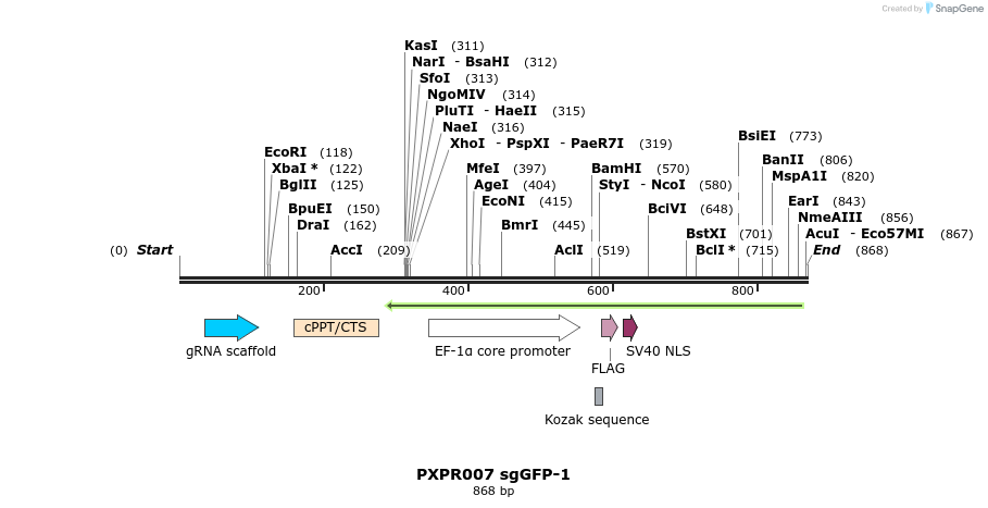 147129_map