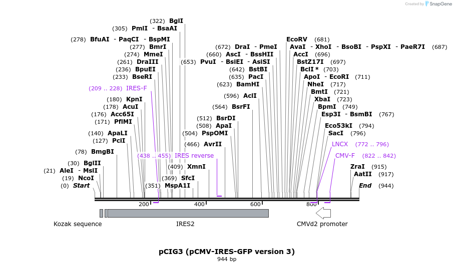 147130_map