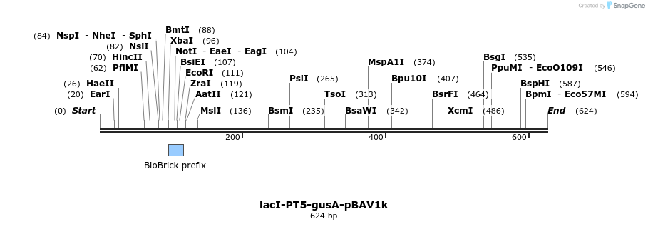 147131_map