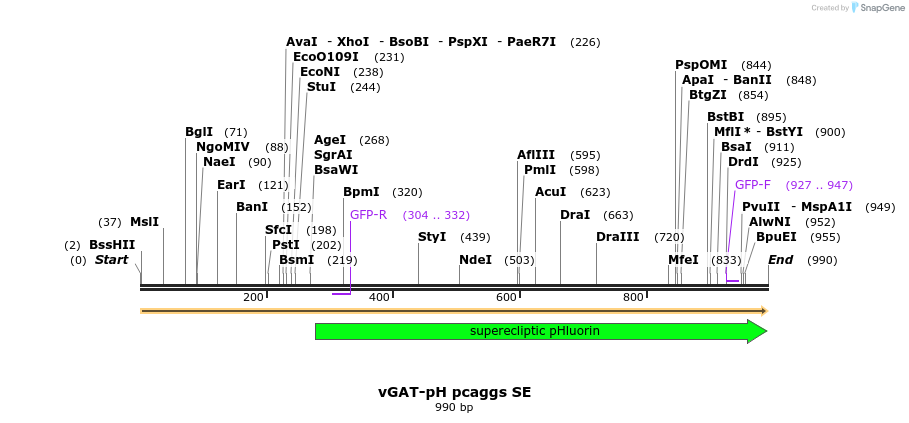 147133_map