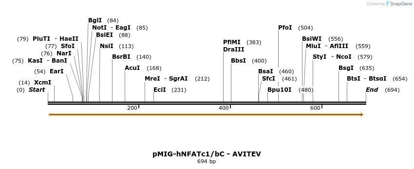 147134_map
