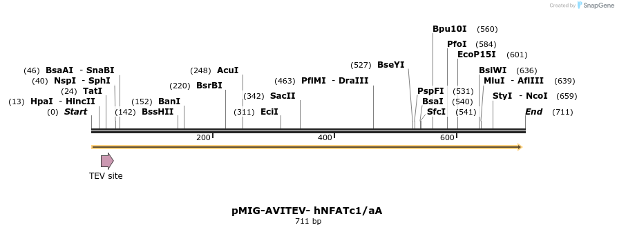 147138_map