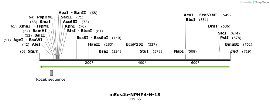 147144_map