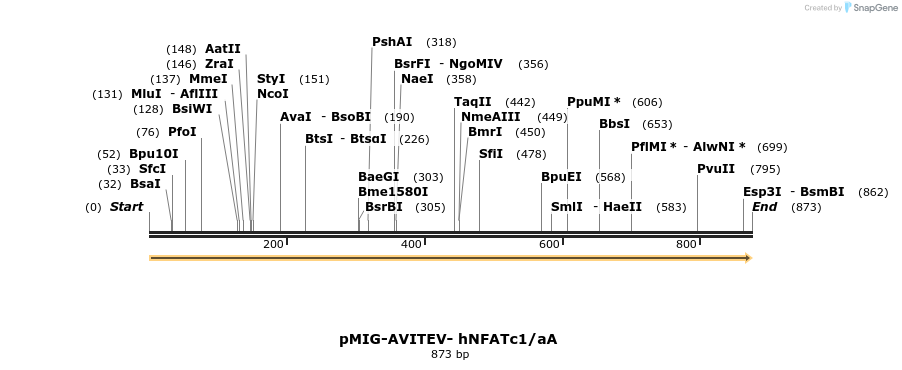 147145_map