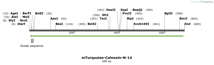 147149_map