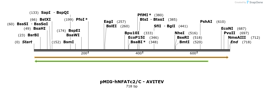 147151_map