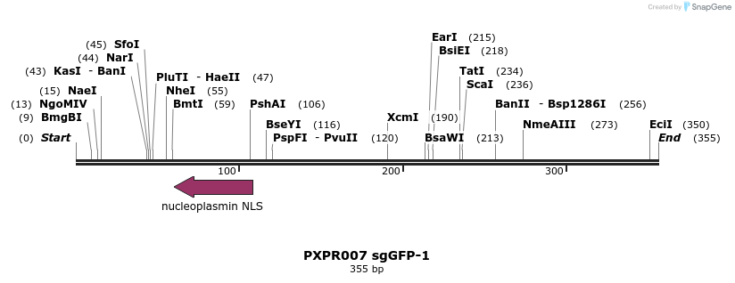 147157_map