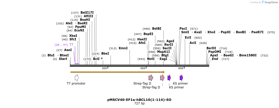 147158_map