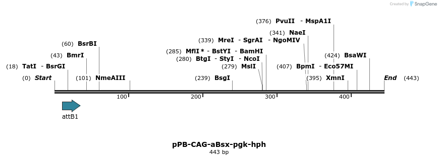147165_map