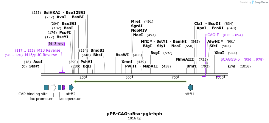 147166_map