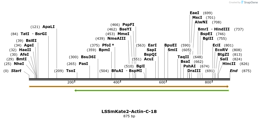 147170_map