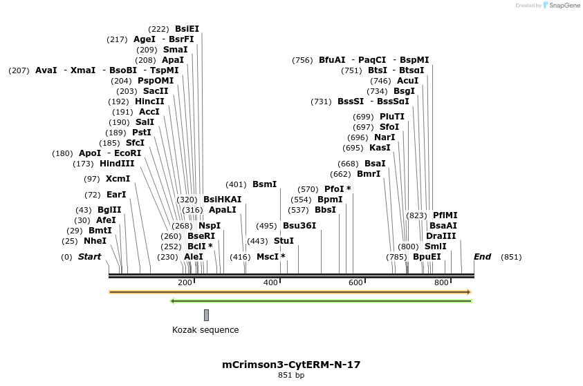 147176_map