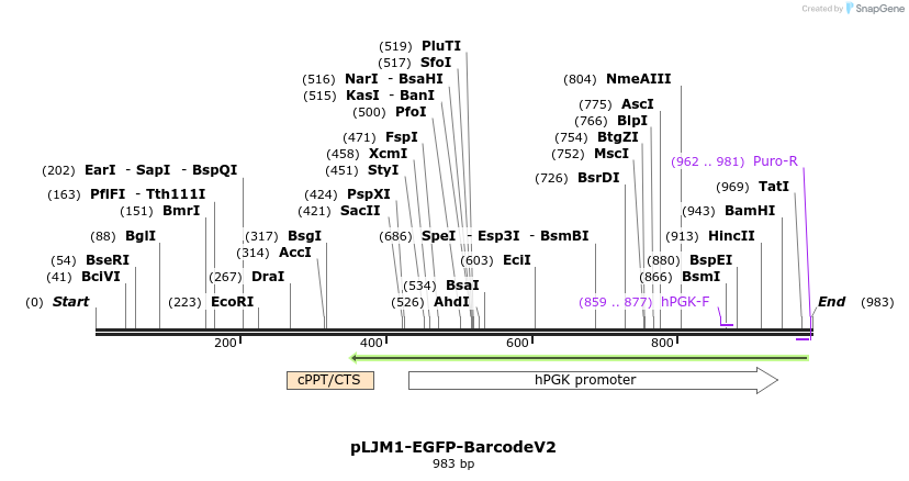 147178_map