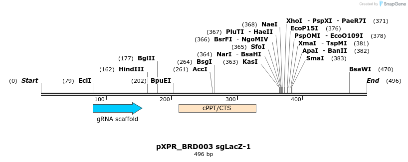 147181_map
