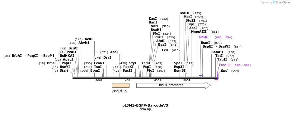 147184_map