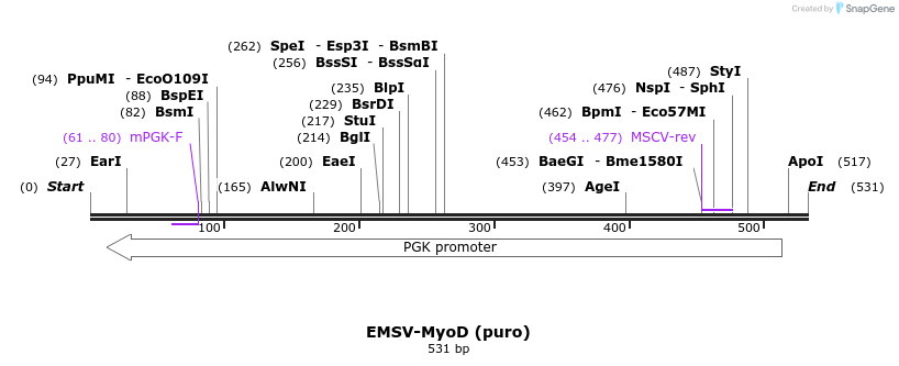 147192_map